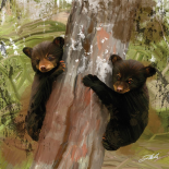 Two Cubs