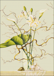 Lilies and Willow