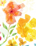 Blossoms in the Sun I