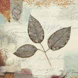Silver Leaves II