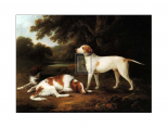 A Pointer and Two Spaniels in a Park