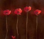Poppy Family 1