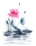 Pink Flower and a Lily Pad