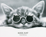 Kool Kat