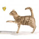 Curious Felines 5
