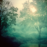 Listen to your Dreams