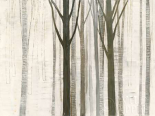 Down to the Woods on White