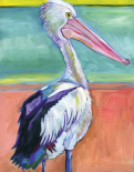 Pelican