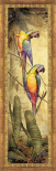 Pershing Peacock I