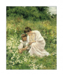 Picking Daisies