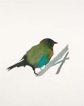 Water Bird 3