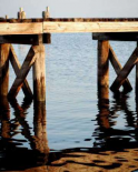 Waterside Beauty I
