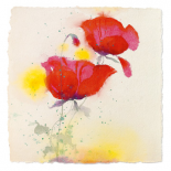 Papaveri I