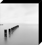 Lake Michigan Morning, Chicago, Illinois, USA