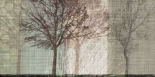 Before Winter