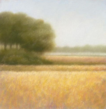 Wheat Field