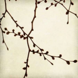 Branches I