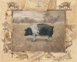 Pig