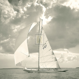 Sunlit Sails I