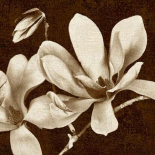 Soul Blossom 1-Sepia