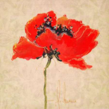Vivid Red Poppies III