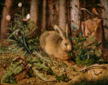 A Hare in the Forest