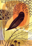 Doodle Bird 1