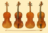 Antique Violins I