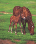 Mare with Foal