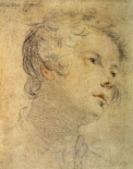 Head of a Youth