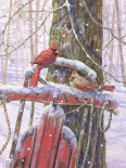 Red Sled with Cardinals