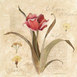 Pumpkin Patch Pals II