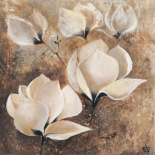 Magnolia I