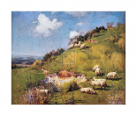 Sheep on a Hillside