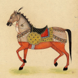 Horse from India I