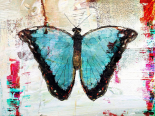 Blue Morpho 1.0