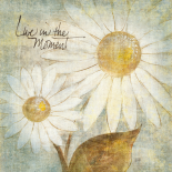 Daisy Do III - Live in the Moment