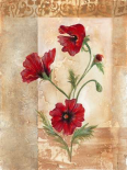 Red Poppies III