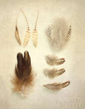 Feathers II