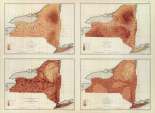 New York: rainfall, population, elevation, temperature, 1895