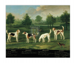 Two Couples of Hounds in a Park