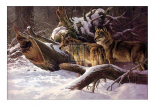 Wolves in Winter