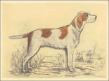 Hunting Dogs-Griffon