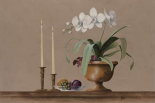 White Orchid Still Life