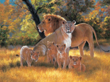 My Family