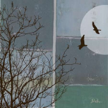 Orchids in a Porcelain Bowl