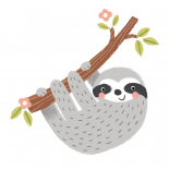 Grey Sloth