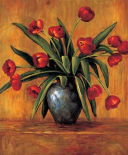 Red Tulips