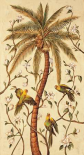 Tropical Panel I