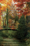Giverny Bridge